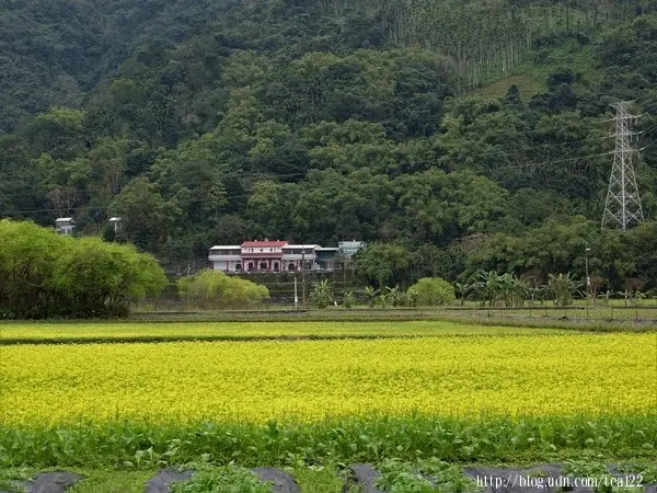 【花蓮旅遊】虎爺溫泉會館包山包海包美食，是校外參觀親子遊暨銀髮慢活之旅的最佳落腳處。