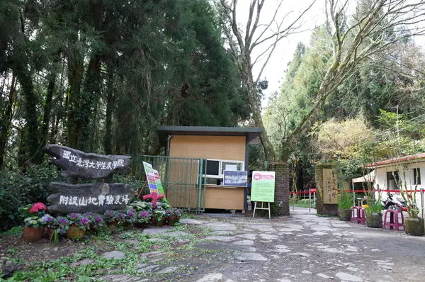 【南投 梅峰農場】梅峰有囍