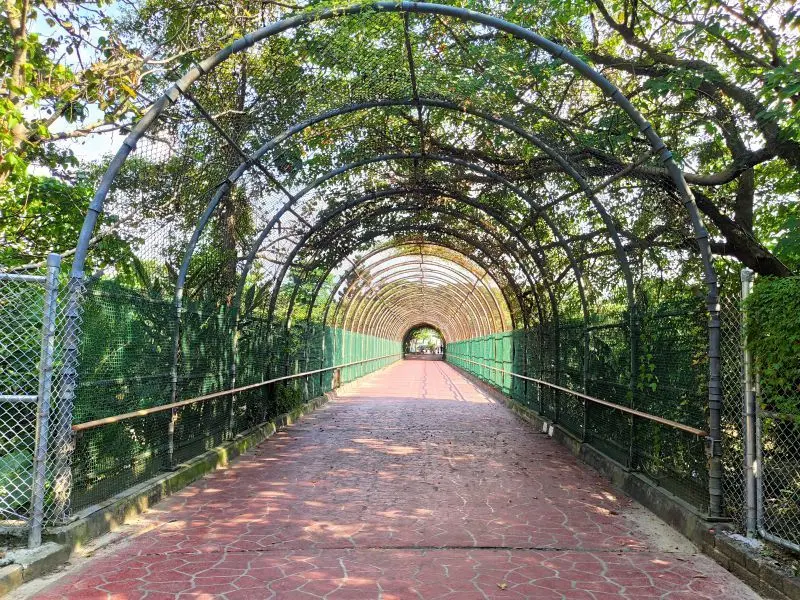 大溪埔頂公園-桃園大溪/全新升級版遊戲場.散步野餐親子共遊好去處 - 潔絲蜜愛生活