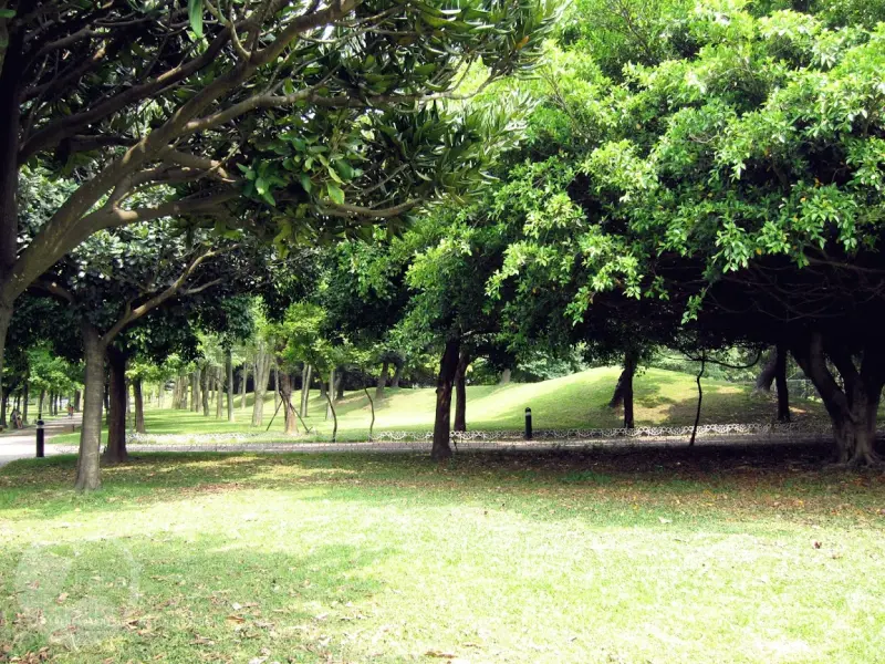桃園景點 | 大溪埔頂公園 ．專屬桃園的大安森林公園 / 水泥都市裡的綠色桃花源 / 野餐推薦