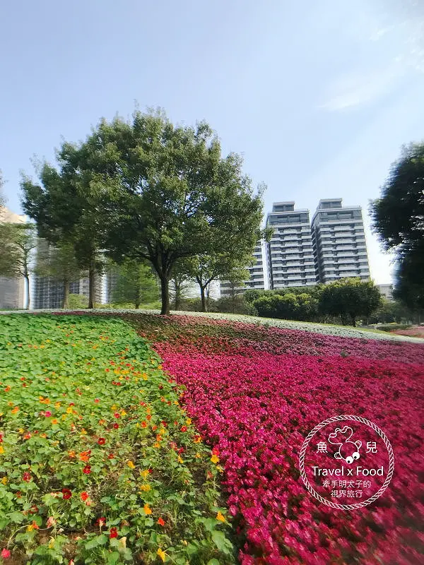【遊】埔頂公園｜春天的花毯，歐式花園的浪漫，休閒的好去處 @ 魚兒 x 牽手明太子的「視」界旅行