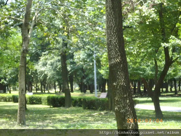 遊記----大安森林公園