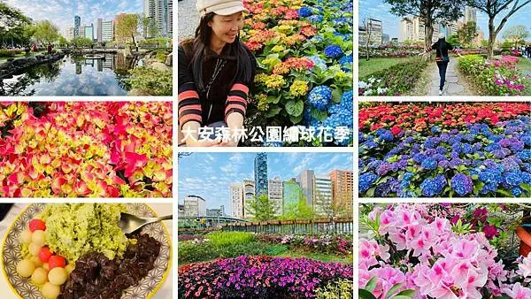 台北後花園│臺北杜鵑花季2021│可同時欣賞繡球花杜鵑花薰衣草流蘇(2021/2/28最新花況分享)│大安森林公園周邊美食