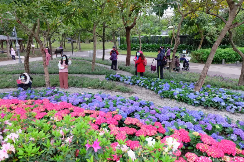 【台北-大安區】2021大安森林公園杜鵑花季2/20-3/31