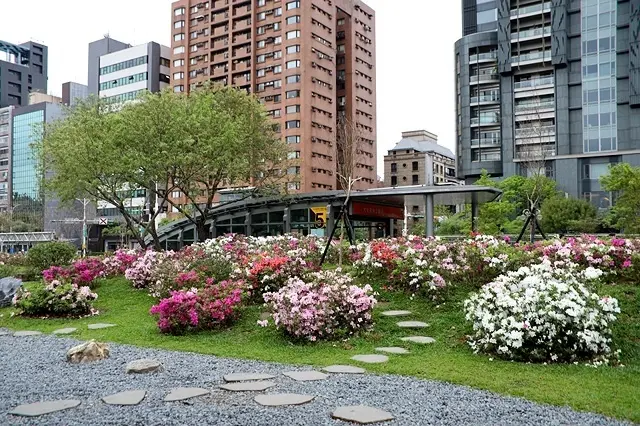 2021臺北杜鵑花季｜大安森林公園繡球花開～