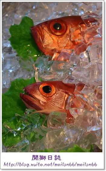 (体驗)板橋-百元熱炒就在『生猛活海鮮』~