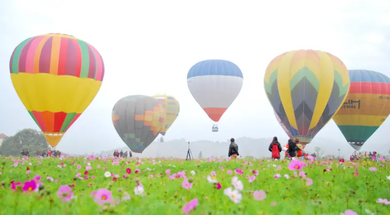 一個人 . 旅行 * 台南 . 走馬瀨農場 熱氣球嘉年華