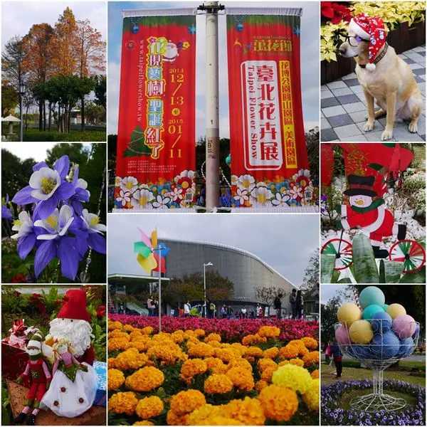 台北花卉展‧花現藝術聖誕紅了