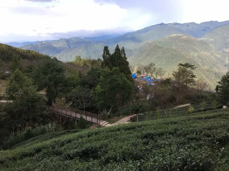 新竹-山上人家 悠遊自在享受芬多精