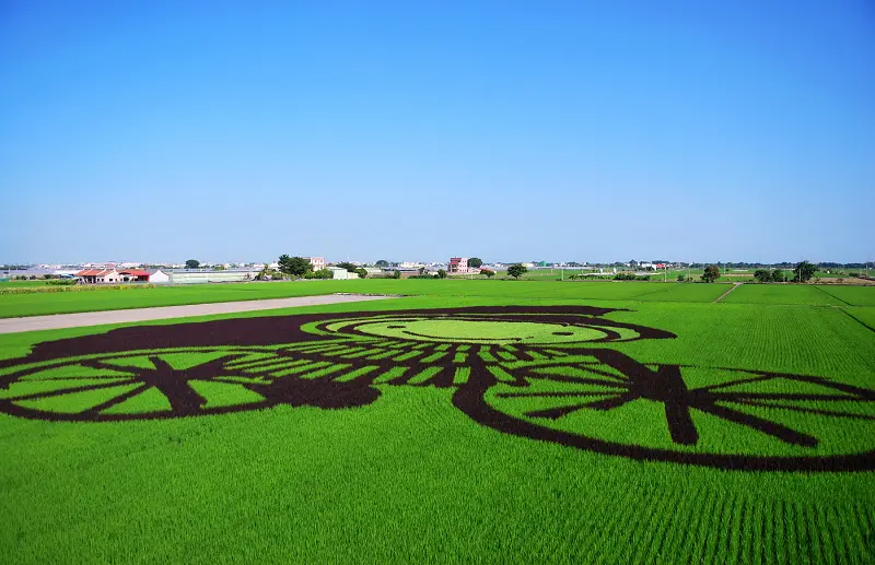 ISEEYOU簑衣娃娃*雲林莿桐.孩沙里稻田彩繪