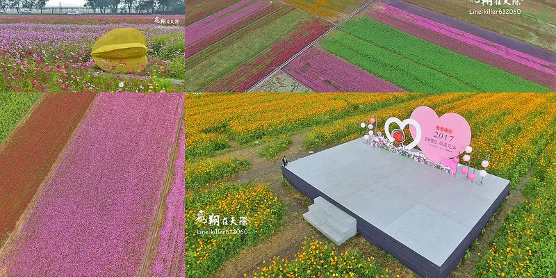 [雲林空拍] 少女心噴發的漸層花海：雲林莿桐孩沙里花海~大地披著彩虹般的嫁紗~觀景台一覽美景(向日葵.波斯菊百花齊放)2017/1/18攝