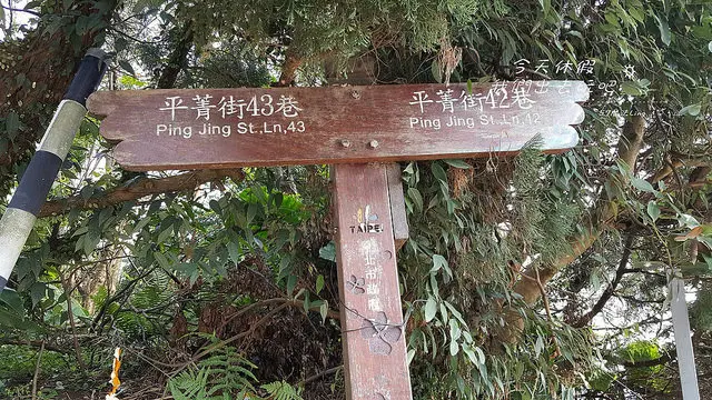 [ 台北⊙士林區]陽明山。平菁街42巷。趕上櫻花末班車