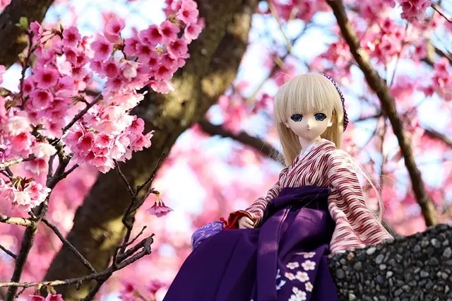 2021台北平菁街42巷櫻花開,最美櫻花巷|2014台北平菁街42巷櫻花開~