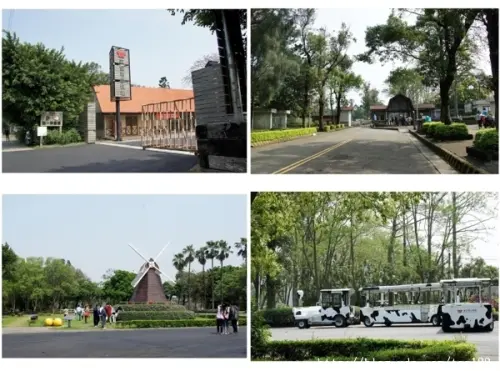 埔心牧場春遊趣