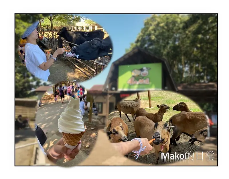 【桃園景點】埔心牧場_親子出遊好去處，可以自己擠牛乳