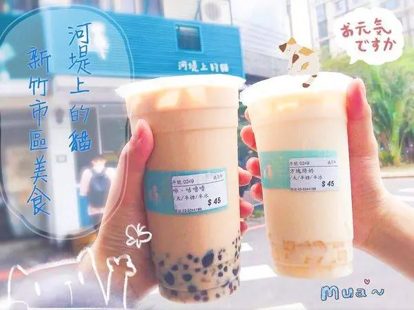 (美食)新竹市區「河堤上的貓」超低調排隊人氣飲品店!特色手搖飲征服你的味蕾!