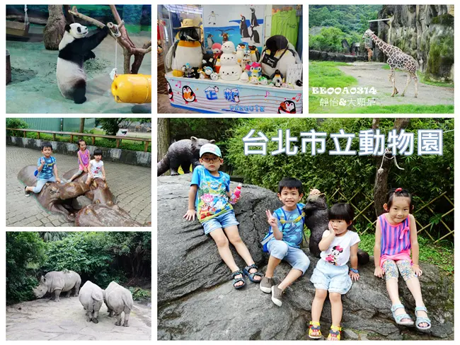 【台北親子旅遊】台北市立動物園 木柵動物園 ♥ 小人嗨翻大人累翻之親子半日小旅行 帶孩子們來ZOO看動物 好開心啊
