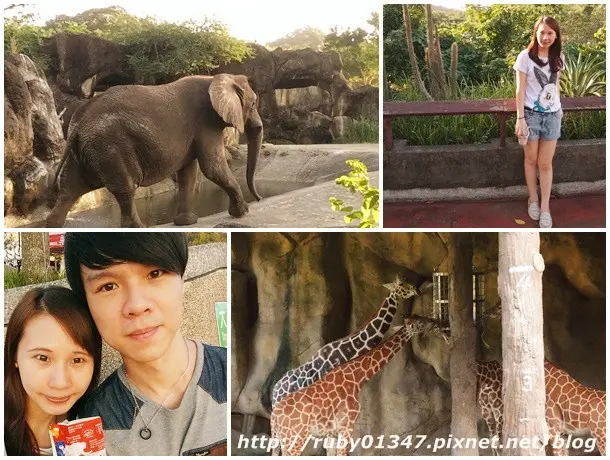 {遊記}-回到小時候的時代@台北市立動物園