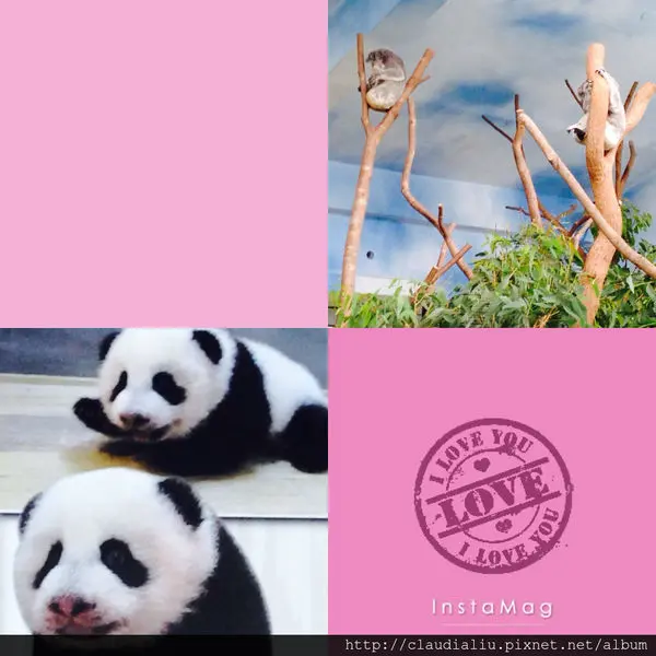 木柵動物園半日遊