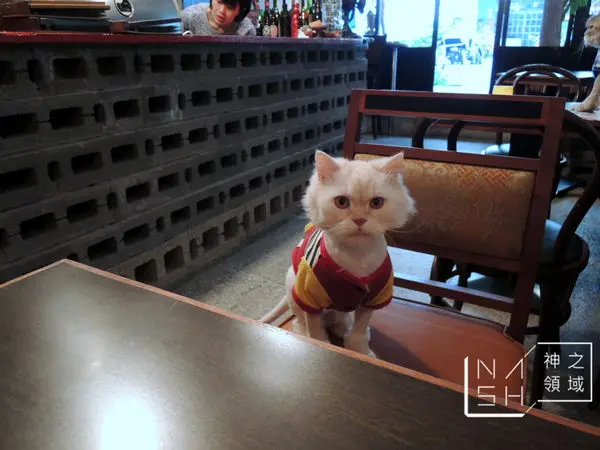 [捷運台北小巨蛋美食] Nash 吃 喘口氣咖啡 來城市靜謐的一隅喘口氣吧