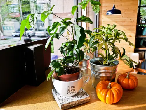 台北 捷運南京松江站 秋日午後的 Fika Fika Cafe