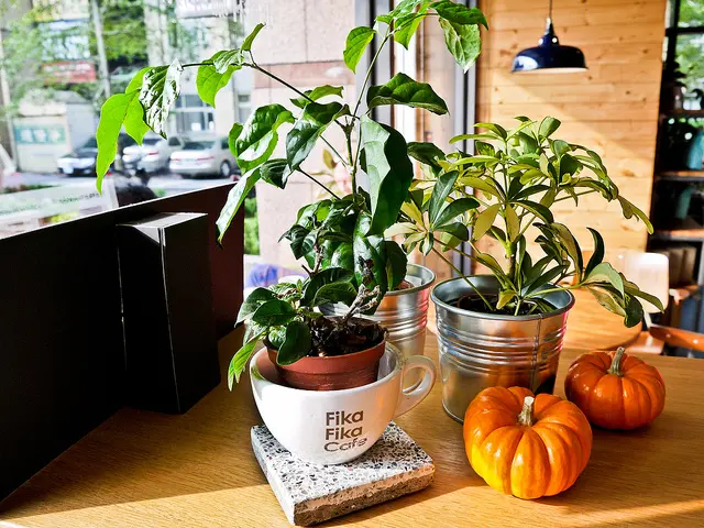 台北 捷運南京松江站 秋日午後的 Fika Fika Cafe