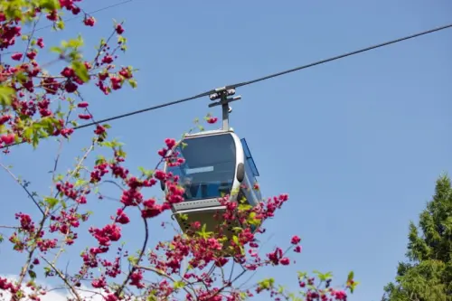 喜歡一個人的旅行：中年單身女子生活（三）（兼賞日月潭纜車車站與空中賞景、伊達邵碼頭夕照）