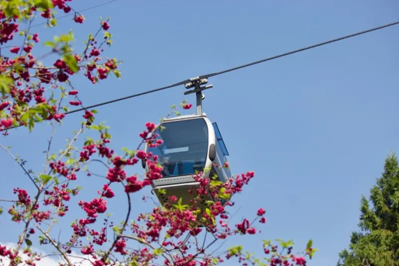 喜歡一個人的旅行：中年單身女子生活（三）（兼賞日月潭纜車車站與空中賞景、伊達邵碼頭夕照）