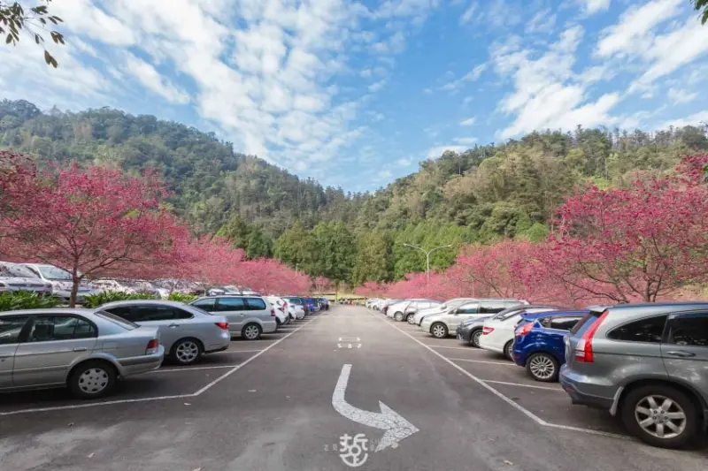 南投一日遊-[來]九族文化村[搭]日月潭水晶纜車[賞]九族櫻花祭。一票玩到底的一日輕旅行 - 老莫 Say台南