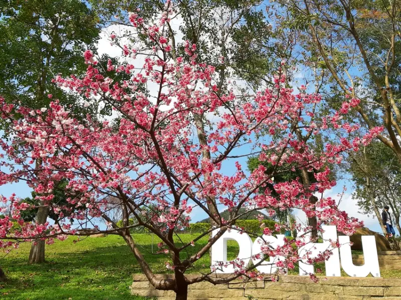 【台北市內湖區 / 旅遊 / 步道健走】 內湖半日健走 大溝溪 圓覺寺步道 瀑布 白石湖吊橋 同心池