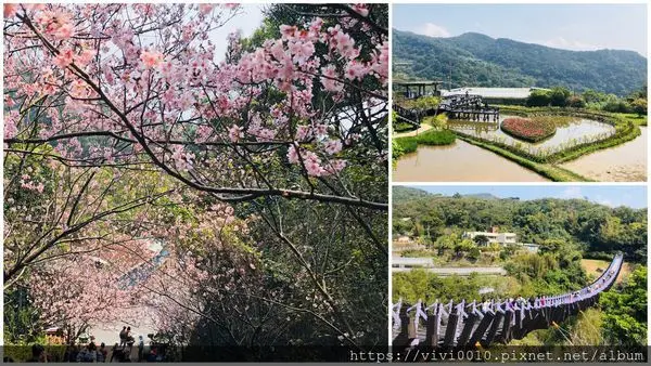 圓圓家出去玩-<台北內湖>白石湖吊橋踏青去，碧山巖櫻花滿開超浪漫~~放假就是要到戶外放輕鬆(內有影片)