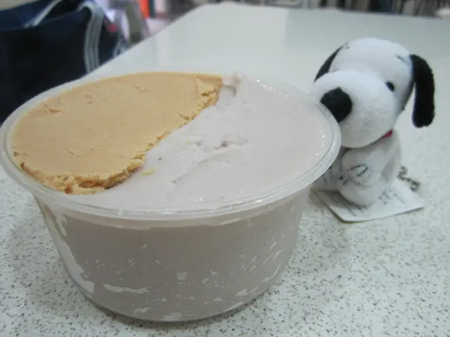 （大安區/捷運忠孝敦化站/東區216巷）北門鳳李冰之超好吃芋頭冰<*102.9.7更新>