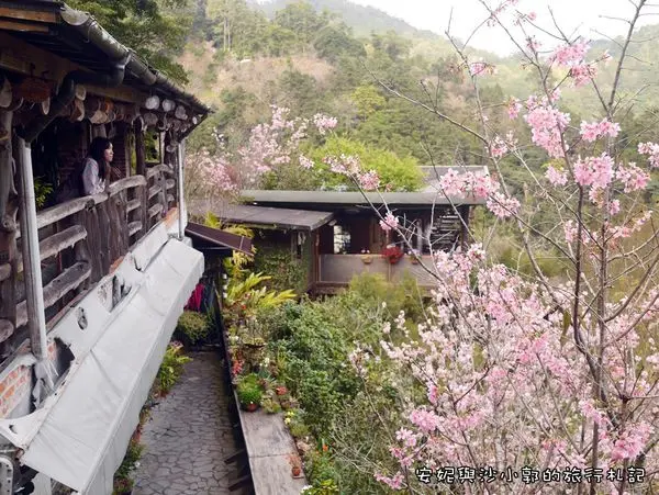 【南庄景觀餐廳】山行玫瑰南庄秘境下午茶  午後與青山櫻花有約來壺花茶