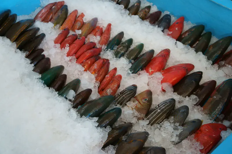 昇日全平價海鮮