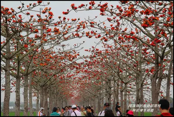 台南白河。林初埤木花道。超生動的龍貓彩繪牆。白河小吃