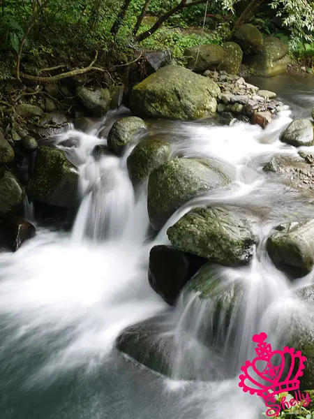 ❤新北市❤ 沒想到三芝也有世外桃源之食物新鮮又好吃的八連溪農園