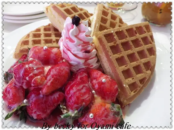 充滿幻想的夢幻天地~Oyami café