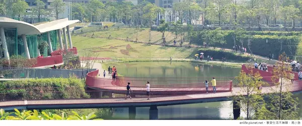 [台中] 新市政中心走路散步好地點，秋紅谷生態公園。