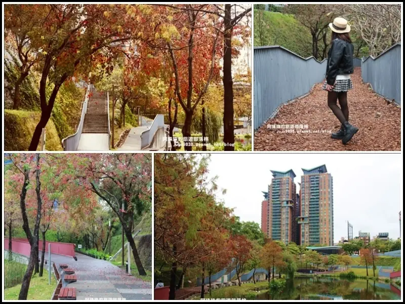 台中。春遊超唯美秋紅谷景觀生態公園。免門票唷!