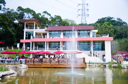 新竹-2013爆紅景點分享 婚紗外拍 溜寵物的好去處~心鮮森林