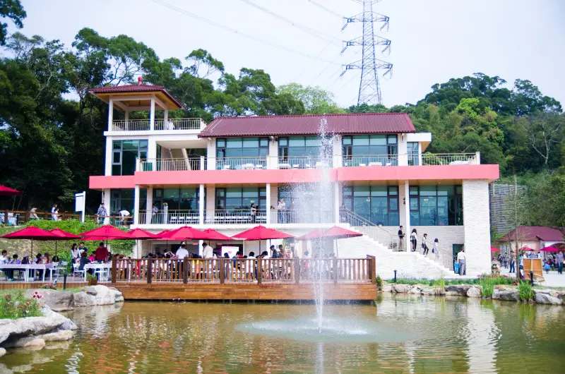 新竹-2013爆紅景點分享 婚紗外拍 溜寵物的好去處~心鮮森林