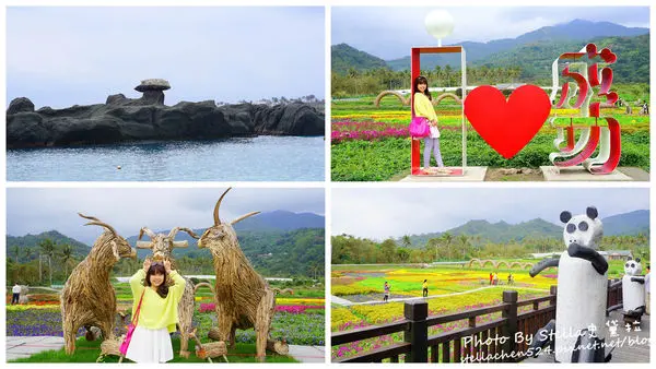 【台東縣-成功】Day1-3&4 見證愛情的情人傘＠石雨傘→東台灣限定!花海的背景是雲霧繚繞的海岸山脈@成功花海