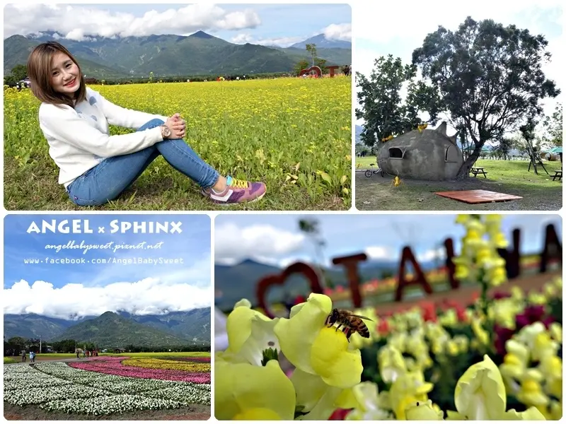 「花蓮光復」5公頃花海迎新春 ❤ 大農大富平地森林園區