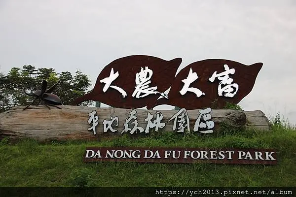 花蓮光復景點推薦／大農大富平地森林園區