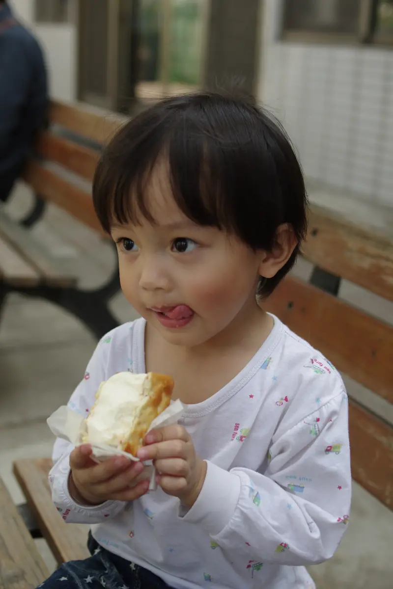 2013.228連假墾丁之旅~台南美食--台糖研究所福利中心~台糖冰品原來這麼好吃！