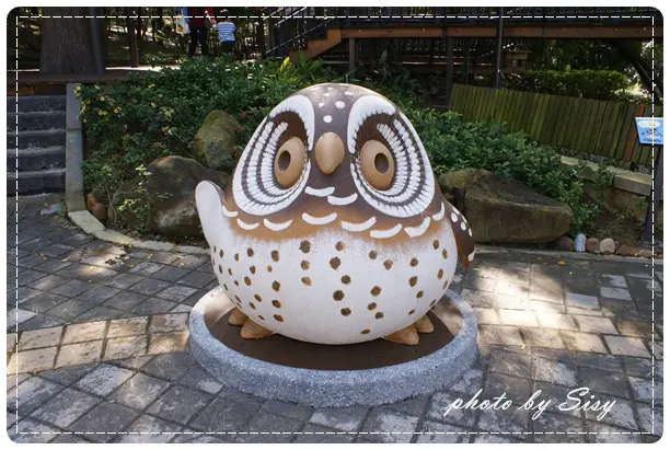 奧爾森林學堂 Owl ~ 虎頭山公園 ~ 貓頭鷹的世界 ~ 小朋友的玩樂天堂 ~ 賞楓 賞桐 ~ 桃園親子半日遊