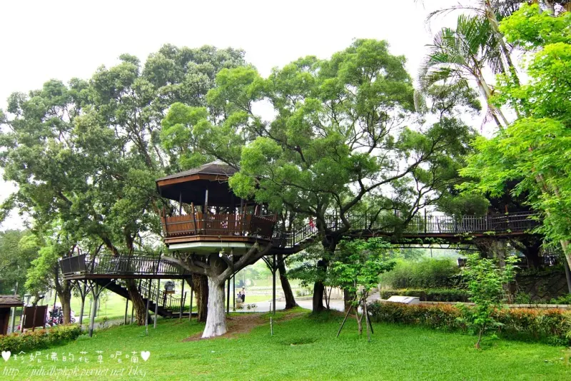 【桃園市】虎頭山風景區奧爾森林學堂流蘇、苦楝花開，還有樹屋可以探險尋找貓頭鷹