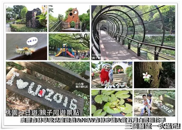 桃園•遊記‖虎頭山公園之奧爾森林學堂~NEW全齡友善步道,不同的風貌!森林步道賞桐花❤,擁有豐富的自然生態(兒童遊戲區、經國梅園、楓香林野餐區、青蛙池、停車場、免門票)花況5/7
