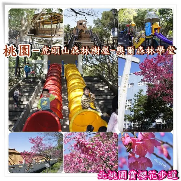 ╠桃園。遊記╣虎頭山森林公園~☆孩子夢想森林裡的秘密基地『樹屋』、多項『挑戰』兒童遊戲設施、登山健行『櫻花』步道絢麗陪伴(花況2015.2/2)