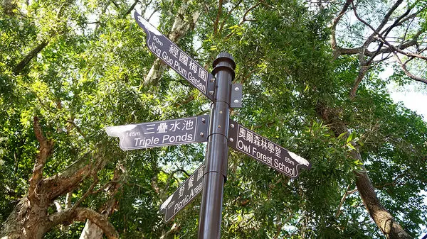 【桃園區】大人小孩為之瘋狂的秘密樂園◎奧爾森林學堂